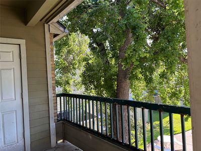 4107 Esters Road