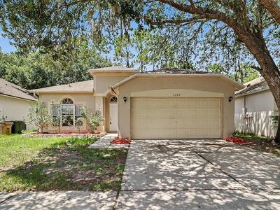 3709 Cinnamon Fern Loop