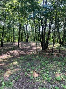 Property at 8 Sleaford-parcel 8 - 2.12 Acres Rd, Howell, MI