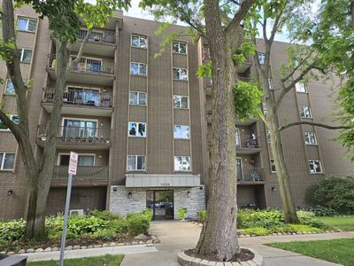 1365 Ashland Ave APT 204