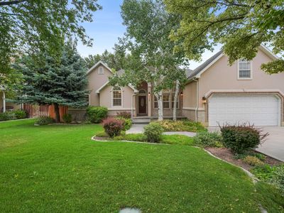 558 N Baker Ln #270