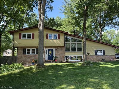 99 Lucy Ln