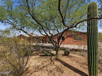 11435 E Sundance Dr