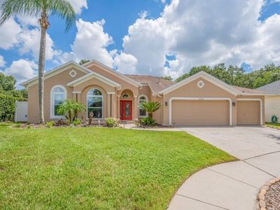 1001 SPLIT SILK STREET