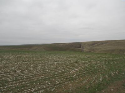 Nka Rice Rd
