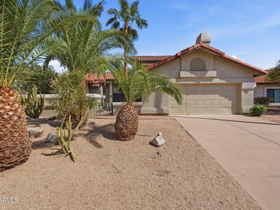 10587 E PALOMINO Road