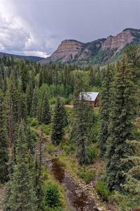 312 Columbine Road