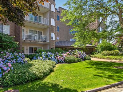 1 Belmont Road APT 315