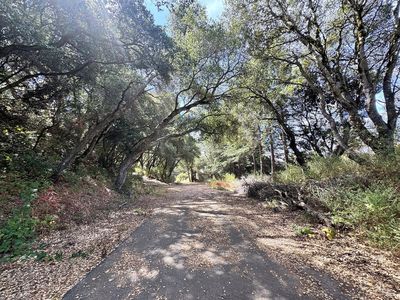 6675 Petersen Road