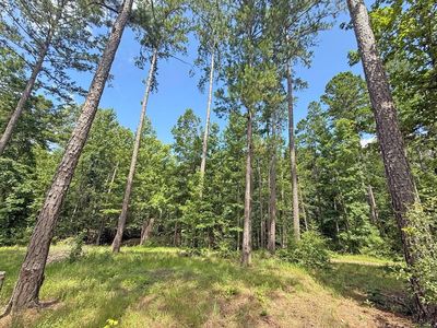 11638 State Highway 204