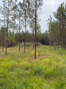 Property at 0 Fenn Rd, Smithdale, MS