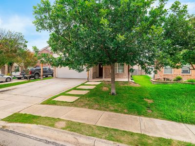 9027 Timber Laurel