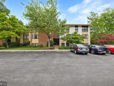 11 Hamill Rd #11E