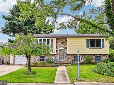 19 Gilbert Ct