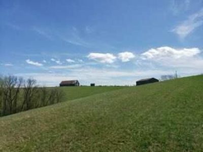 317 Cane Run Rd