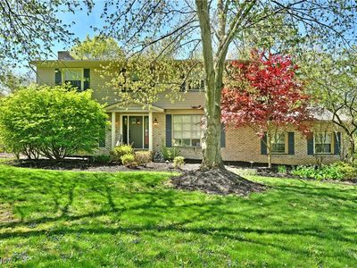 8676 Squirrel Hill Dr NE