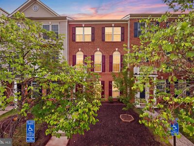 20223 Edisto Sq