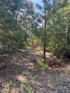 Property at 667 Paint Creek South Rd, Paige, TX