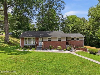 415 Michael St