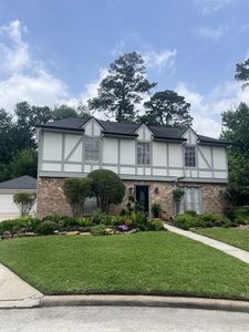 19311 Forest Fern Ct