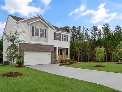 45 Grazing Crop Ct