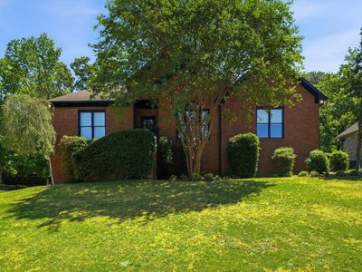 529 Willow Ln