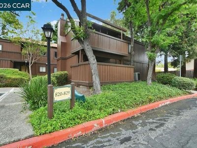828 Camelback Pl