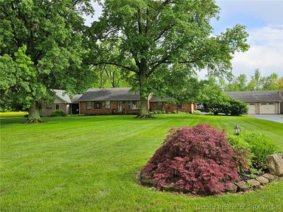 317 Meadow Lane