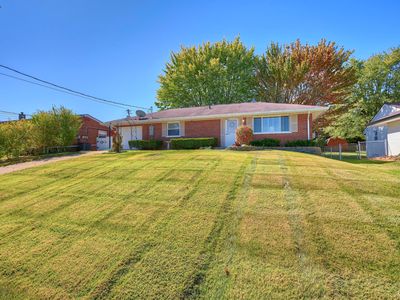 665 Maple Tree Ln