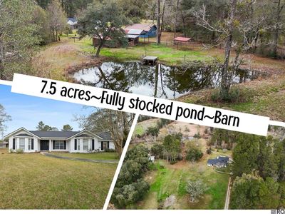 29417 Mary Kinchen Rd