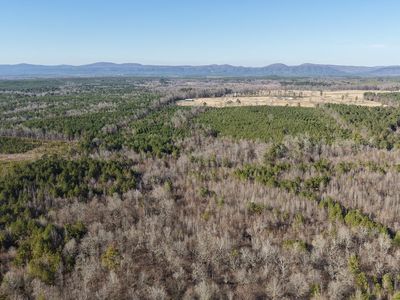 Bushy Creek Rd
