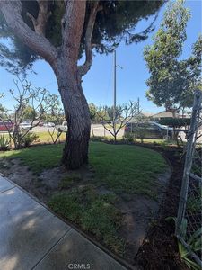 10445 Rose Hedge Dr