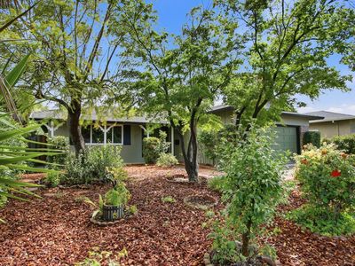 926 Camellia Way