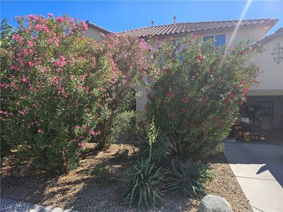 1467 Corsica Crest Ct