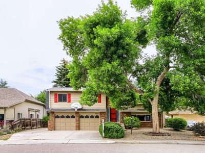 1621 Hoffman Dr