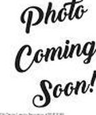 Property at 2217 Auburn Ave, Holt, MI