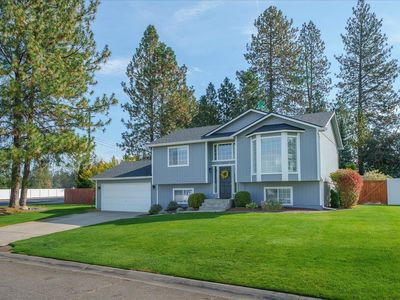 Property at 15822 N Anna Ct, Mead, WA