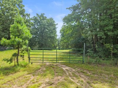 1381 County Road 1763