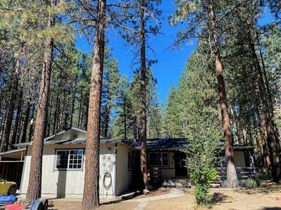 Property at 237 Otter Way, Portola, CA