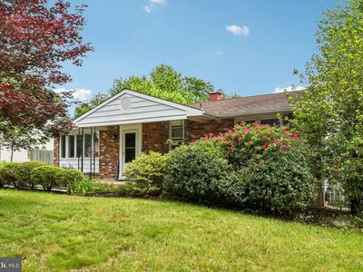 115 Brewster Dr