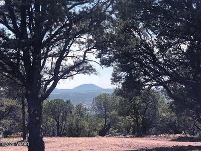 LOT 20 Mountain Pine Rd