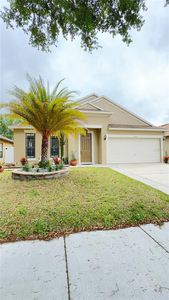 9162 Venezia Plantation Dr