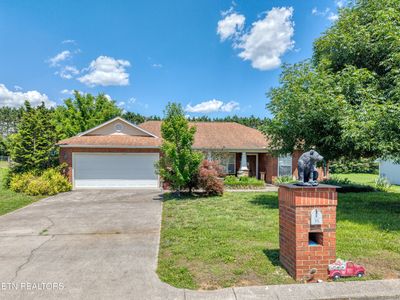 926 Mossy Grove Ln