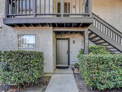 322 Orange Blossom