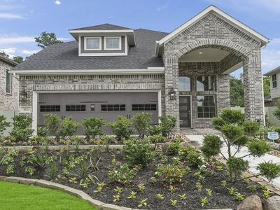 15719 Azure Petal Ln