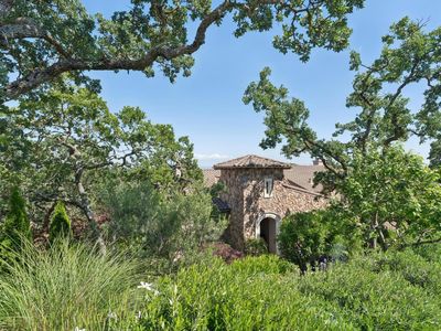 115 Stonetree Lane