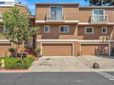 37946 Bright Cmn
