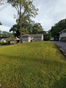 97 Abbey Ct