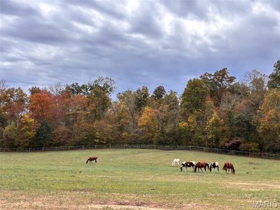 352 Madison Wayne 9305