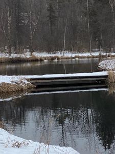 13645 Valley Creek Trl S